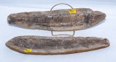 TWO-PART SWORD-NOSE FISH FOSSI