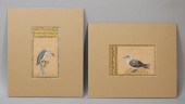 TWO PERSIAN BIRDS ILLUMINATED
