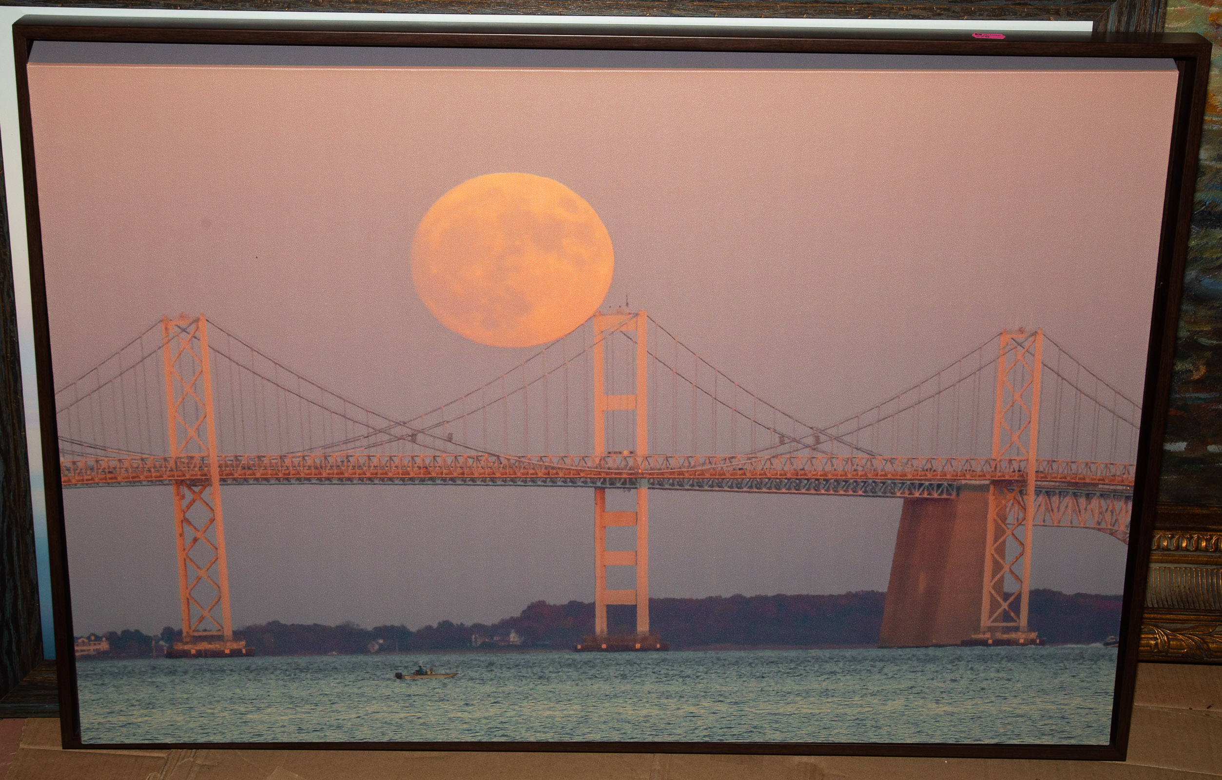 TWO PHOTO CANVAS PRINTS *located in