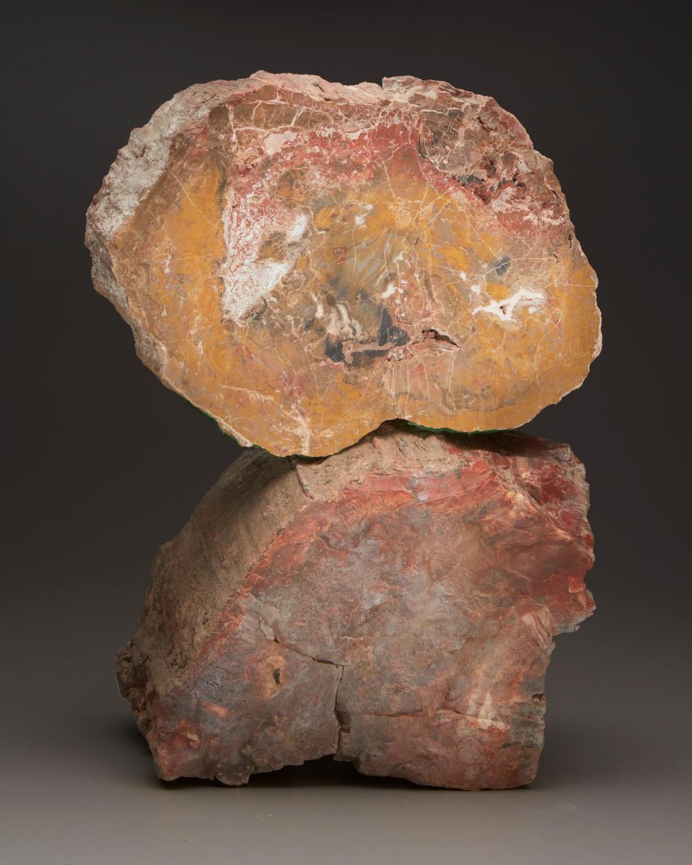 TWO PIECES OF ARIZONA PETRIFIED