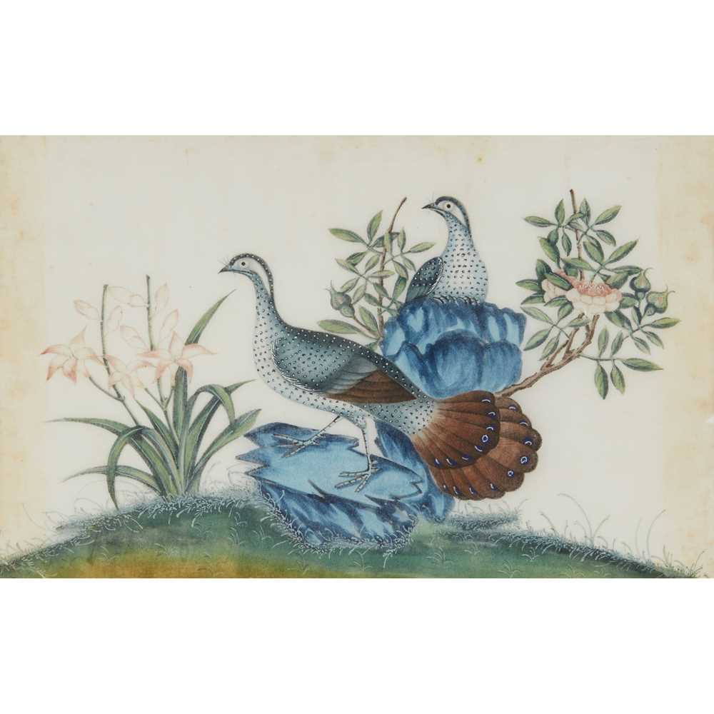 TWO PITH PAINTINGS OF EXOTIC