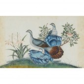TWO PITH PAINTINGS OF EXOTIC B
