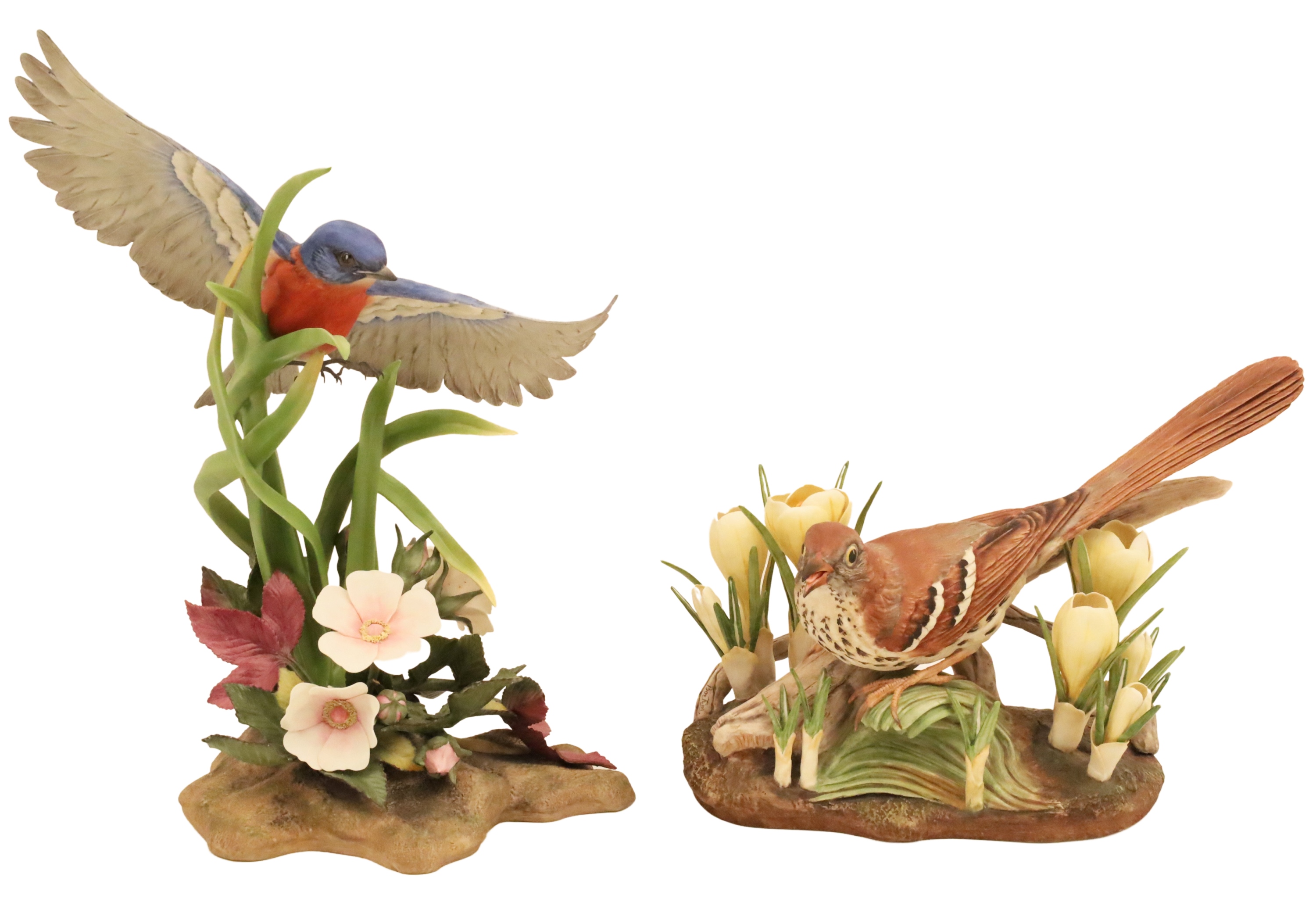 TWO PORCELAIN BIRD MODELS BY