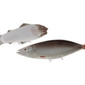 Two Porcelain Fish-Form Servin