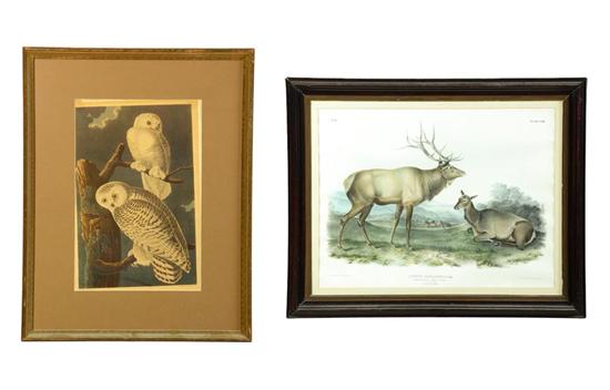 ***TWO PRINTS AFTER JAMES AUDUBON
