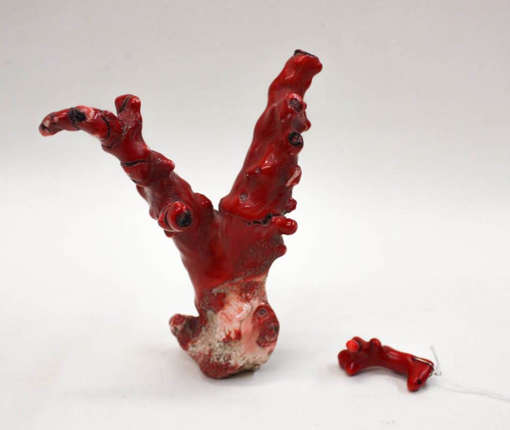 TWO RED CORAL BRANCHES, THE LARGER,