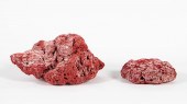 TWO RED PIPE ORGAN SEA CORAL S