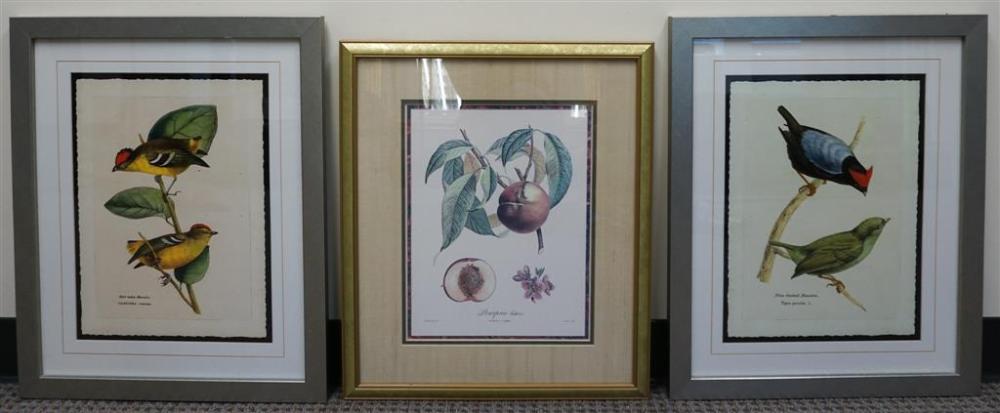 TWO REPRODUCTION PRINTS OF BIRDS