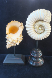TWO RESIN DECORATIVE SEASHELLS
