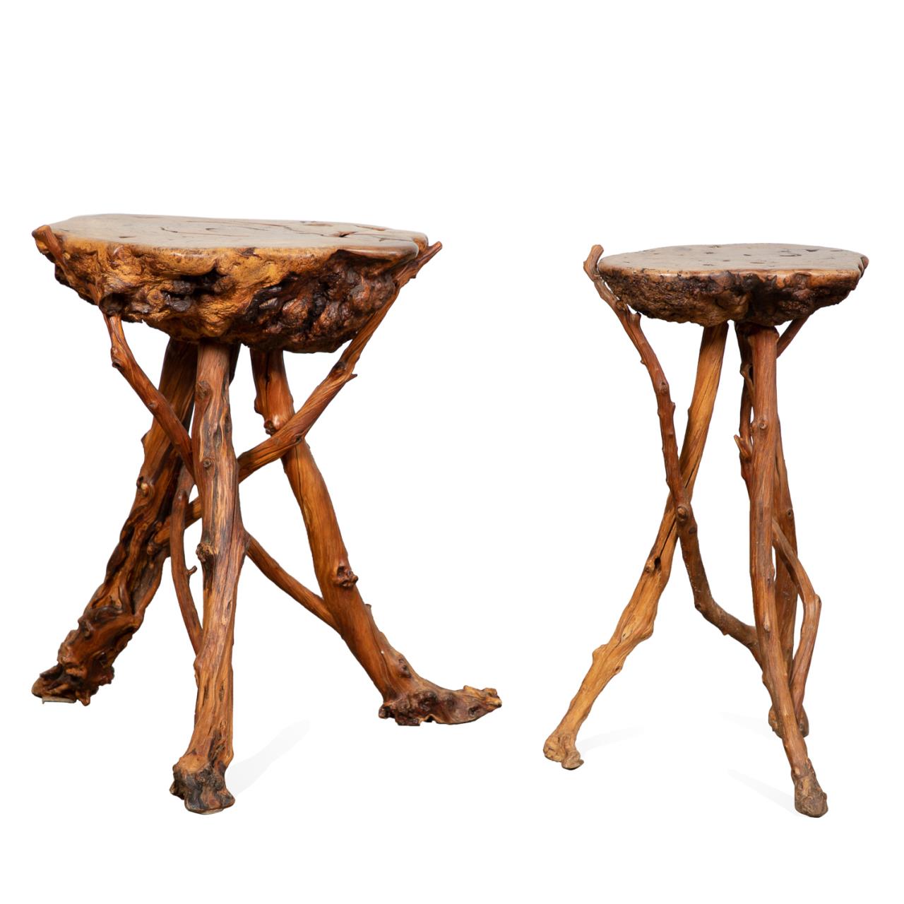 TWO RUSTIC BURLWOOD LIVE EDGE