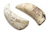 Two Scrimshaw Whale's Teeth on