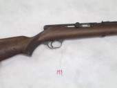 TWO SEMI AUTOMATIC 22 LR CALIB