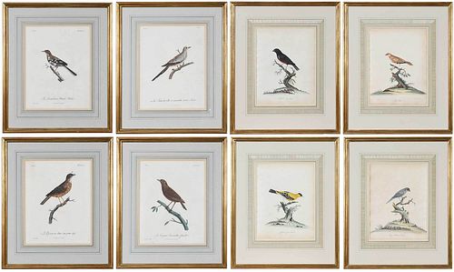 TWO SETS OF FOUR ORNITHOLOGICAL