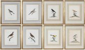 TWO SETS OF FOUR ORNITHOLOGICA
