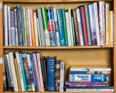 TWO SHELVES OF BOOKS ON AMERIC