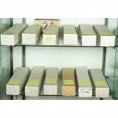 TWO SHELVES OF MISCELLANEOUS S