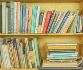 TWO SHELVES ON SOUTHWEST ART,