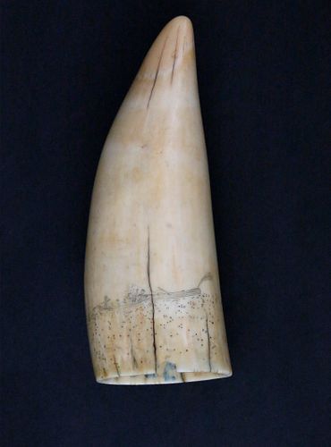 TWO-SIDED SCRIMSHAW ANTIQUE SPERM