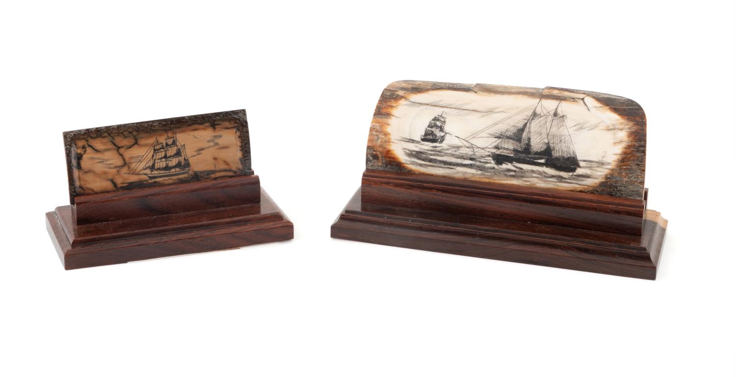 TWO SIGNED BILL FEENEY FOSSIL