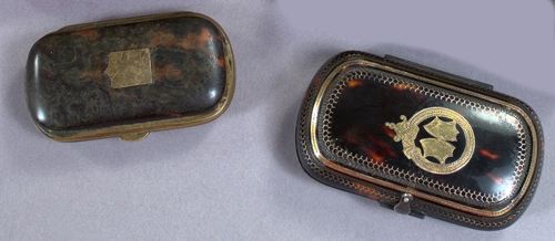 Two Small English Tortoiseshell