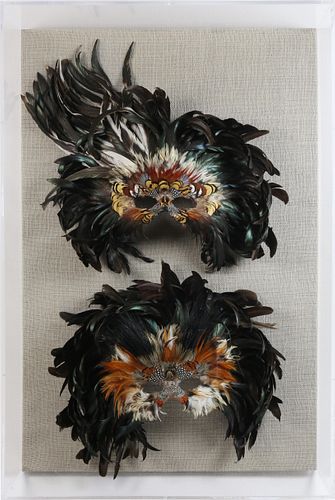 TWO SOUTH AMERICAN TROPICAL FEATHER