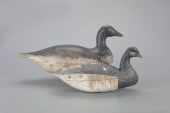 TWO STARR COLLECTION BRANT20 i