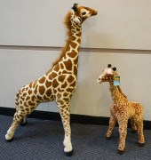 TWO STUFFED GIRAFFES, H OF TAL
