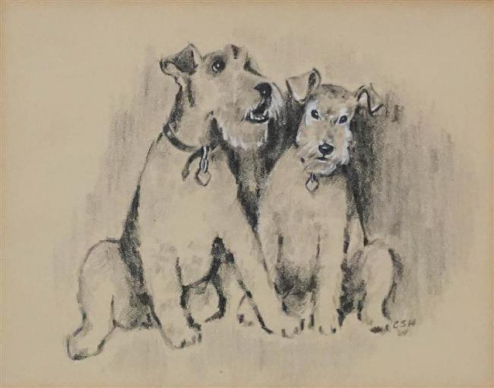 TWO TERRIERS, CHARCOAL WITH WHITE