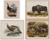 Two Turkey Prints (19th centur