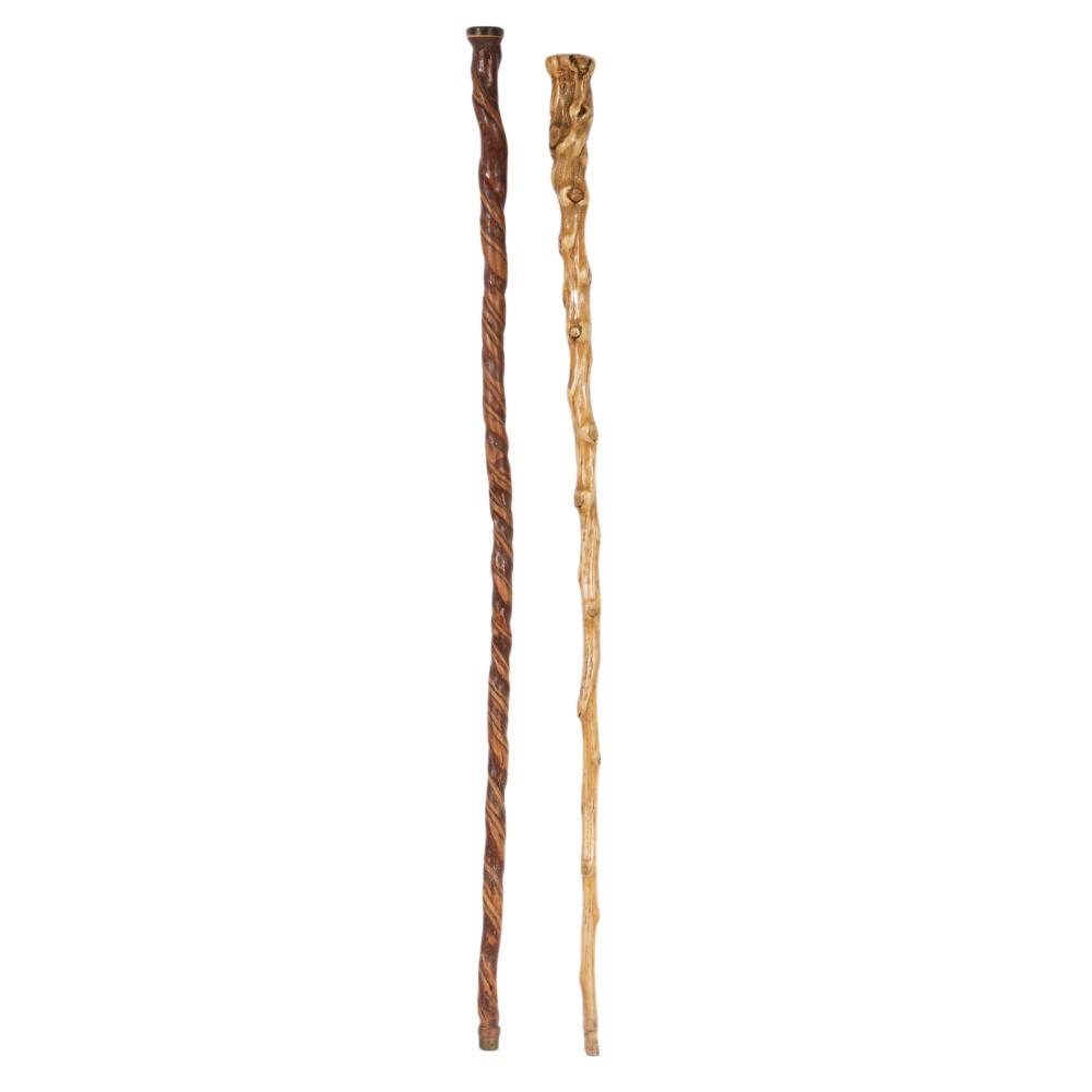 TWO TWISTED GNARLED WOOD CANES /