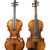 Two Violins
comprising a tiger