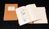 TWO VOLUMES "PAINTINGS BY MADA