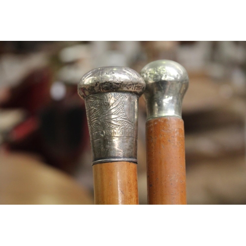 Two walking sticks, each approx