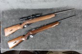 TWO WARDS WESTERN FIELD MODEL