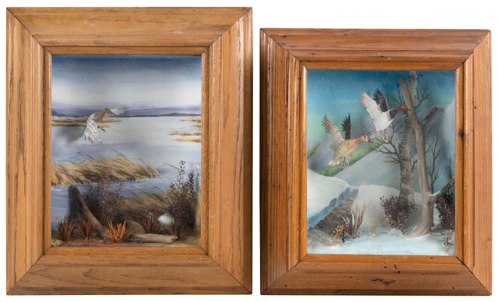 TWO WATERFOWL SHADOW BOXES BY