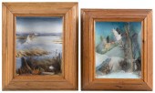 TWO WATERFOWL SHADOW BOXES BY