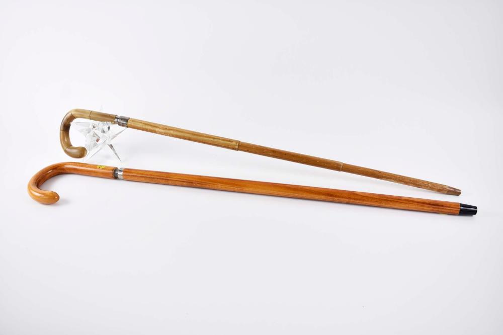 TWO WEST GERMAN METAMORPHIC WOOD