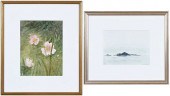 TWO WORKS BY ANN WYETH MCCOY(P