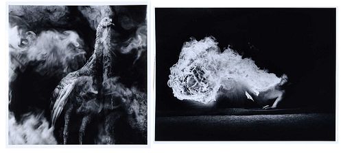 TWO WORKS BY DEBBIE FLEMING