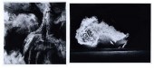 TWO WORKS BY DEBBIE FLEMING CA