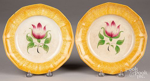 TWO YELLOW SPATTER TULIP