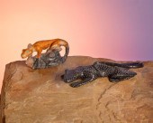TWO ZUNI STONE FETISH ANIMALS,