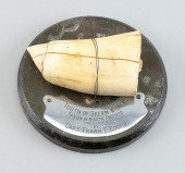 * UNENGRAVED WHALE'S TOOTH 20T