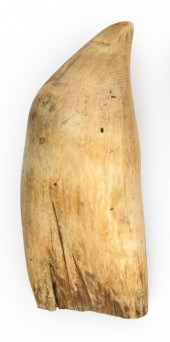 * UNENGRAVED WHALE'S TOOTH LEN