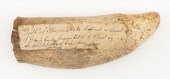 * UNENGRAVED WHALE'S TOOTH LEN