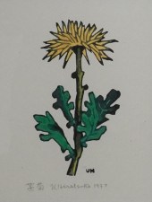 UNICHI HIRATSUKA (JAPANESE 189