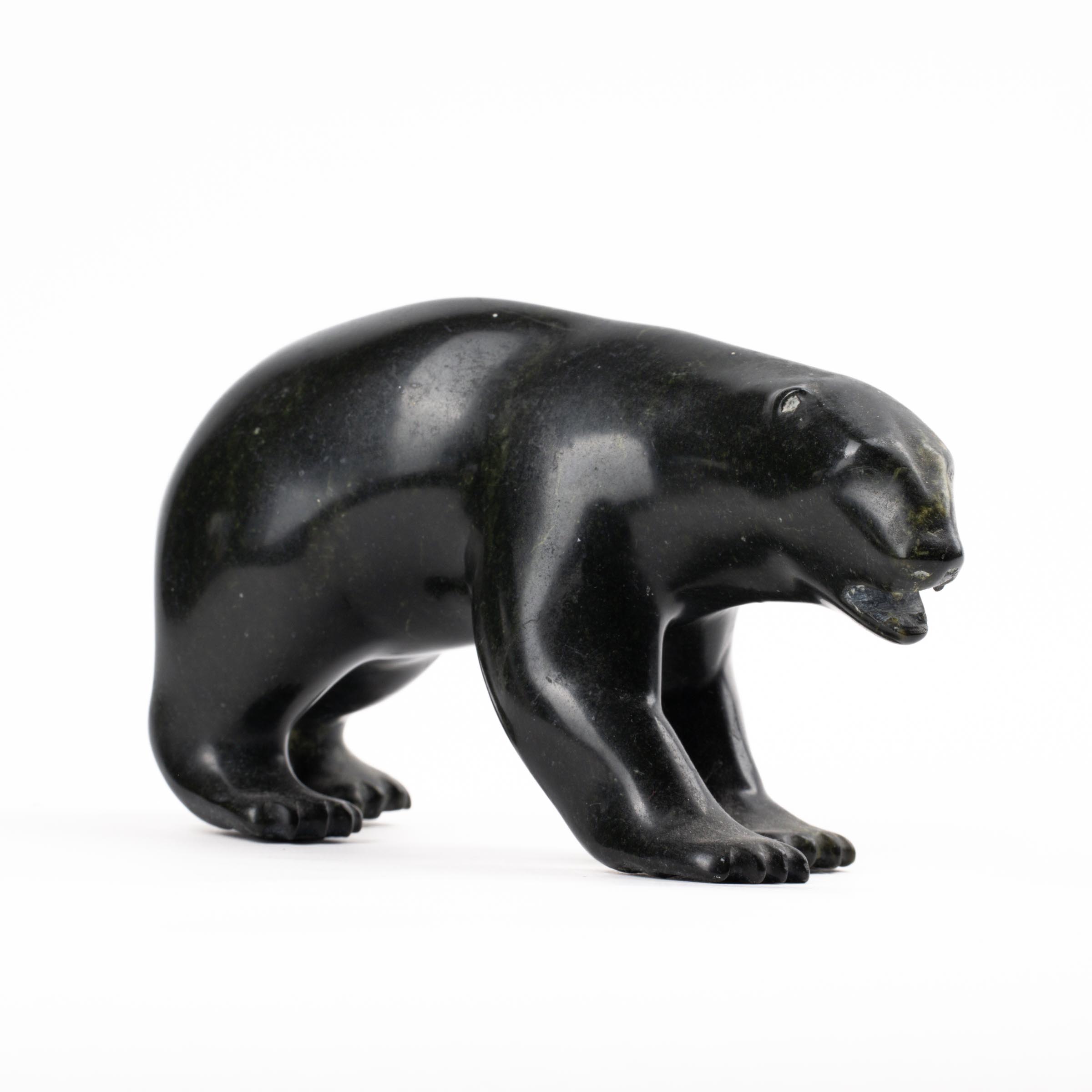 Unidentified Artist GROWLING