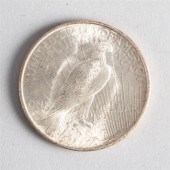 United States Peace silver dol