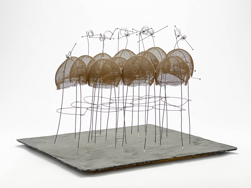 UNKNOWN ARTIST - KRAALwire, wire