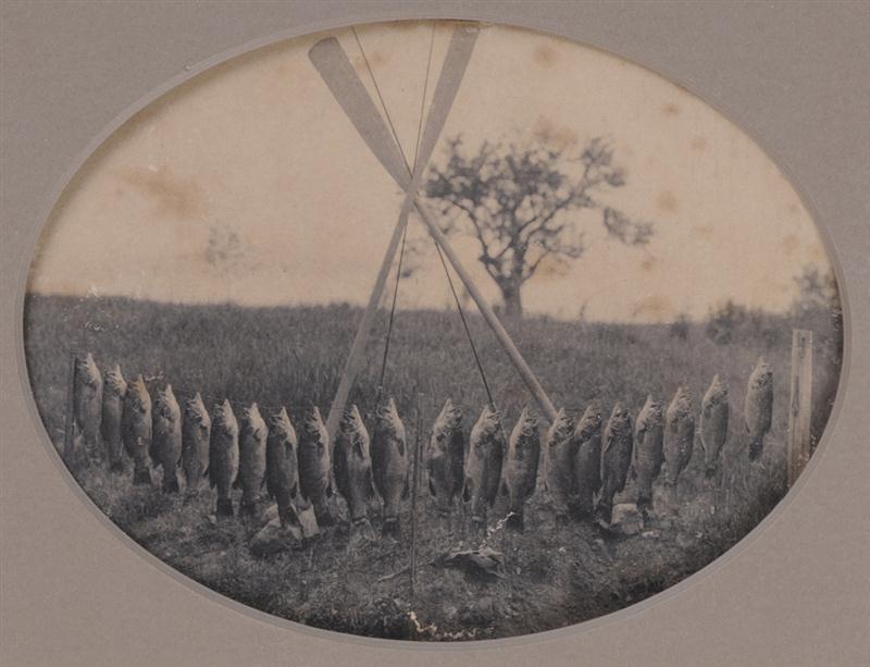 UNKNOWN C.1890: CATCH OF THE DAY